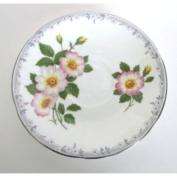 Wild Rose Bone China Tea Cup Teacup Saucer Taylor & Kent English Bone China - Picture 5 of 7